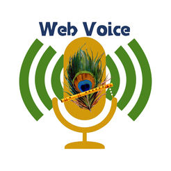 Web Voice logo